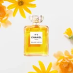 Best Perfumes for Women: Must-Have Fragrances for 2024