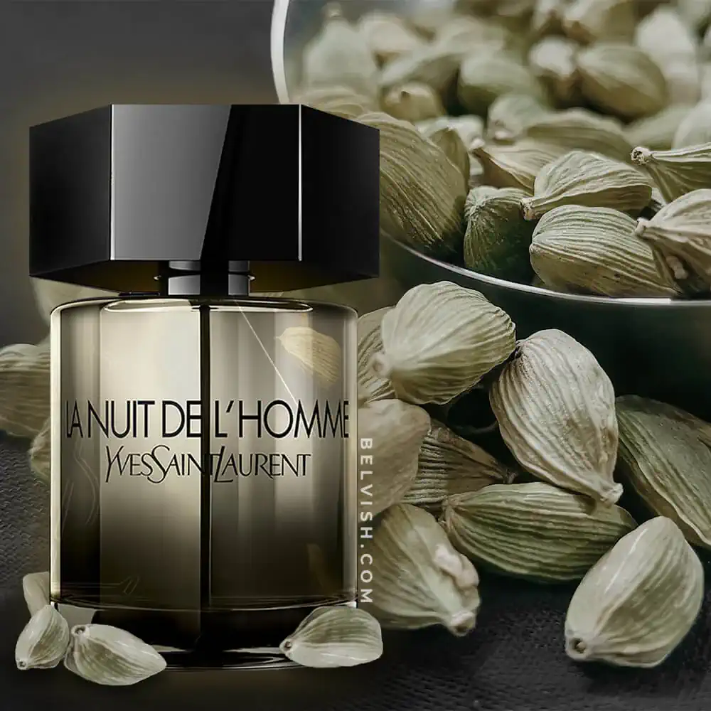 Yves Saint Laurent La Nuit De L'Homme | Top Perfumes for Men